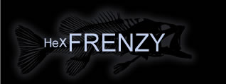 frenzy logo